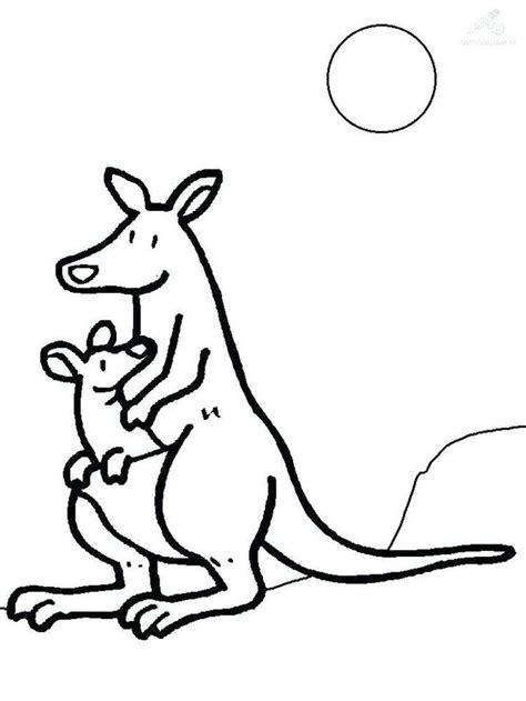 coloring page baby kangaroo animal coloring pages coloring pages