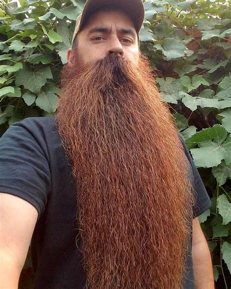 pin  chuck smith  bearded glory long hair beard beard styles