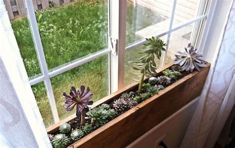 window box inspo  ideas  space saving planters