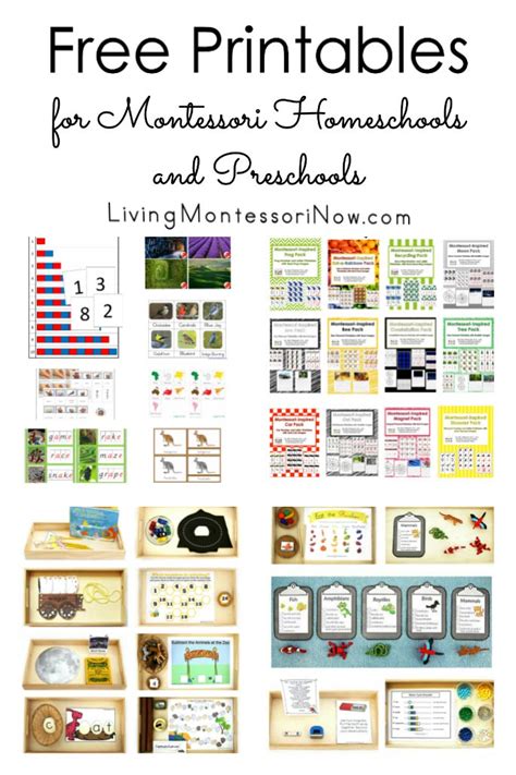 printables  montessori homeschools  preschools