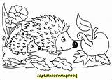 Coloring Hedgehogs sketch template