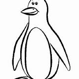 Penguin Rockhopper sketch template