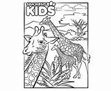 Coloring Giraffe Diego San Family Kids Zoo sketch template