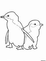 Penguins Pinguin Designlooter Malvorlage sketch template
