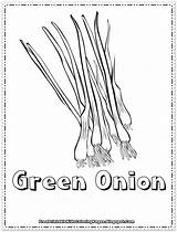Coloring Onion Printable Onions Pages Kids Green Union Getcolorings Color Peppers Getdrawings sketch template
