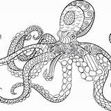 Mandala Pages Coloring Octopus Adult Coloringpagesfortoddlers Animal sketch template