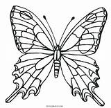 Butterfly Coloring Pages Wings Drawing Printable Kids Cool2bkids Color Mandala Book Papillon Print Sheets Getcolorings Flower But Crazy sketch template