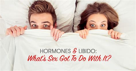Hormones And Libido What S Sex Gotta Do With It Denver