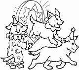 Circo Cachorros Coloreando Dogs2 Colorir Qdb sketch template