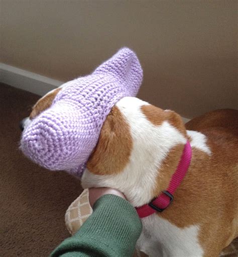 crochet dog hat dog ear warmers ear protector  thewoollykraken