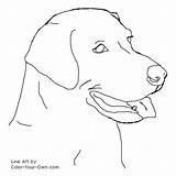 Labrador Coloring Lab Retriever Pages Dog Drawing Puppy Drawings Color Line Easy Draw Puppies Labs Dogs Golden Face Retrievers Colouring sketch template