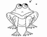 Coloring Frog Frogs Coloringcrew Pages sketch template