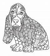 Coloring Pages Dog Mandala Adults Printable Adult Animal Book Dogs Bernese Mountain Mandalas Animals Books Print Puppy Para Relax Un sketch template