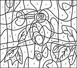 Color Toucan Animals Numbers Coloring Pages Hard Adult Number Printable Printables Bird Kids Coloritbynumbers Book Hidden Access Bezoeken sketch template
