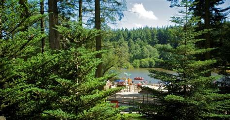 center parcs longleat forest celebrating  successful years center parcs