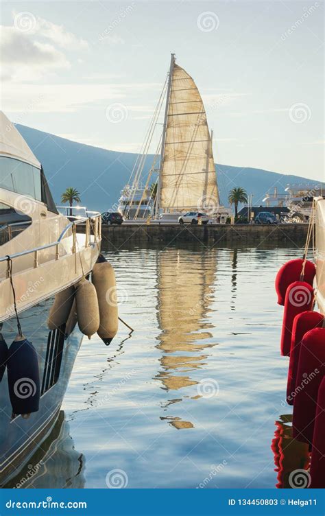 mediterranean port montenegro bay  kotor tivat city view  yacht marina  porto