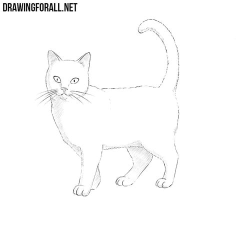 draw  cat