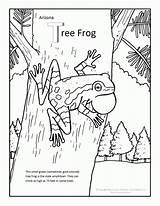Coloring Frog Tree Pages Printable Library Clipart sketch template