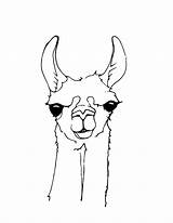 Lama Llamas Zeichnen Tiere Dzieci Dla Kolorowanki Zeichnung Malvorlagen Ausmalen Colouring Alpaca Kunst Siebdruck Alpakas Ganz Süßes Sketches Bestcoloringpagesforkids Animals sketch template