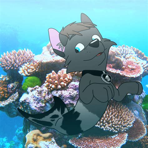 merpup prince   great barrier reef  fluffyprincewolfy