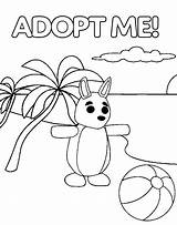 Adopt Kangaroo Plays sketch template