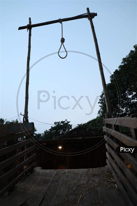 image  hanging rope knot  picxy