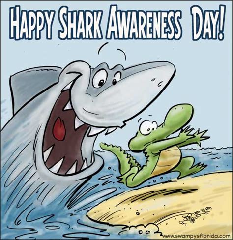 swampys florida  happy shark awareness day swampys florida
