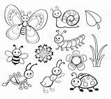 Colorear Insectos Insecto Bug Pattes Mille Istockphoto Conjunto Caracol Linda Vectores Similares Ver sketch template