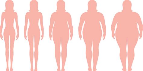体に非常に肥満体重からボディマス指数ベクトルのイラスト別の肥満度と女性のシルエット 肥満のベクターアート素材や画像を多数ご用意 istock