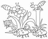 Mewarnai Pemandangan Lebah Bunga Indah Lukisan Kumpulan Diwarna Taman Pilihan Alam Printemps Fleurs Coccinnelle sketch template