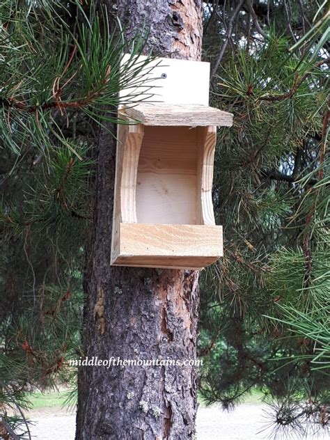 bird house   robin outdoor decor birds diy projects