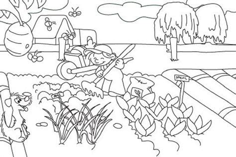 vegetable garden coloring pages printable food garden coloring