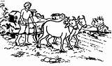 Indian Farming Clipart Farmer Farmers Subsistence Drawing India Painting Coloring Drawings Rice Agriculture Village People Ploughing Pages Rural Illustration Man sketch template