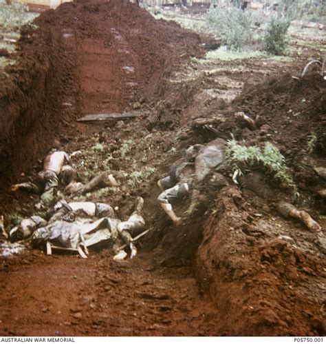 The Dead Bodies Of North Vietnamese Soldiers Of The People S Army Of