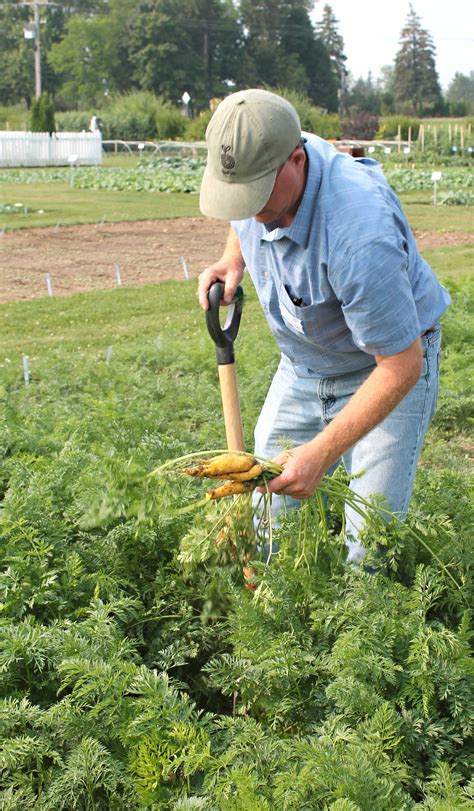 veteran vegetable grower shares tips country folks grower