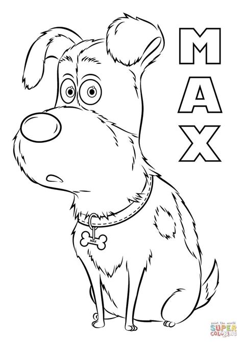 animal coloring pages dog coloring page pets drawing