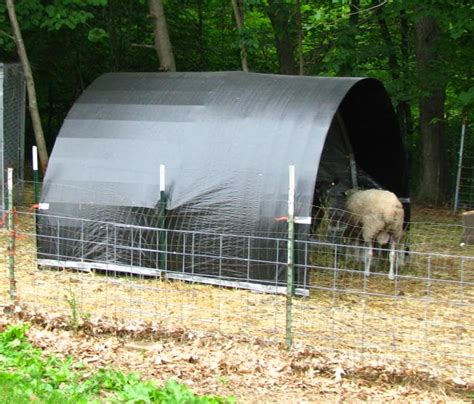 river oaks farm studio cattle panel  post sheep shelters