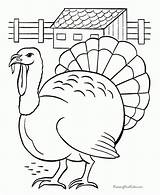 Coloring Turkey Print Pages sketch template