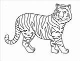 Tigre Disegnare Firstpalette Tigres Mizzou Tiggers Facili sketch template