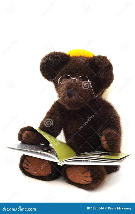 teddy bear reading  book stock images image