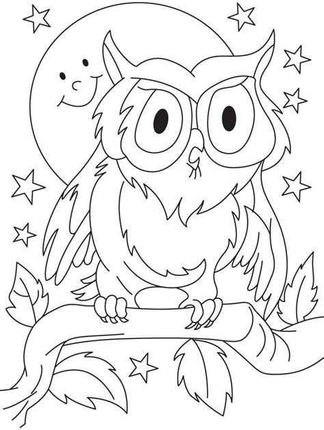 preschool owl coloring pages clip art library