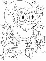 Coloring Owl Pages Kids Printable Outline Summer Owls Preschool Drawing Colouring Color Cute Sheets Clipart Preschoolers Opossum Mandala Bird Cartoon sketch template