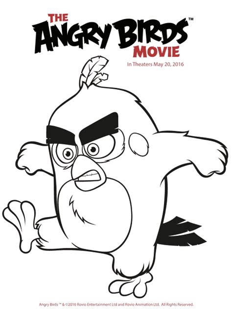 fun angry birds coloring pages printables