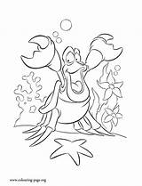 Coloring Sebastian Pages Mermaid Little Crab Disney Arielle Ariel Colouring Ausmalbilder Mal Descendants Sketch Kids Color Para Colorear Draw Printable sketch template