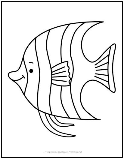 angelfish coloring page print