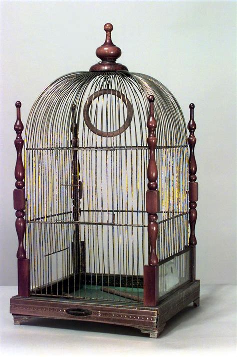 images  bird cages  pinterest
