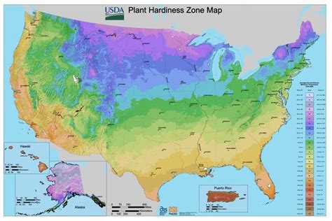 planting zone usda plant hardiness zone map