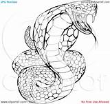 Cobra Snake Coloring Striking King Pages Venomous Clipart Illustration Print Atstockillustration Color Kids Viper Animal sketch template