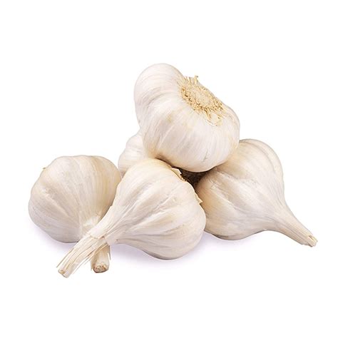 organic garlic  aus south stream market