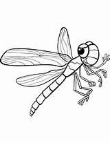 Dragonfly Coloring Insect Colouring Flying Insects Topcoloringpages sketch template